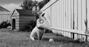 ���-����������� ����� ���� 2012 �����������